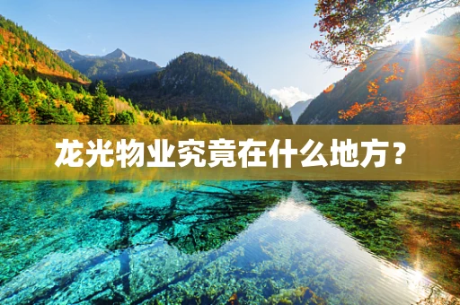 龙光物业究竟在什么地方？