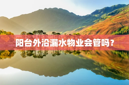 阳台外沿漏水物业会管吗？