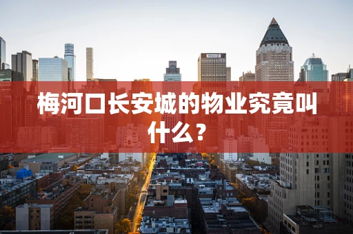 梅河口长安城的物业究竟叫什么？