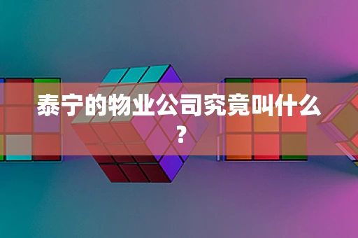 泰宁的物业公司究竟叫什么？