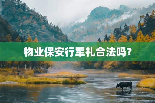 物业保安行军礼合法吗？