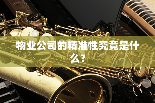 物业公司的精准性究竟是什么？