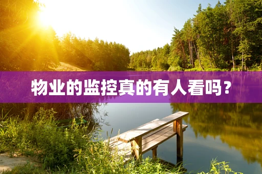 物业的监控真的有人看吗？
