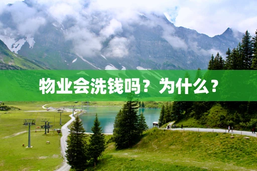 物业会洗钱吗？为什么？
