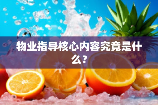 物业指导核心内容究竟是什么？