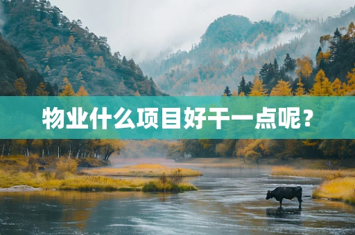 物业什么项目好干一点呢？