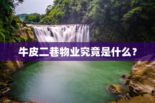 牛皮二巷物业究竟是什么？