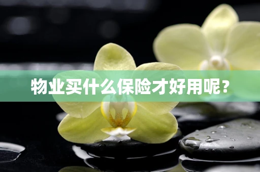 物业买什么保险才好用呢？