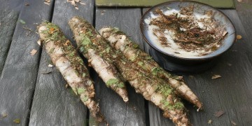 辽源安家物业真的靠谱吗？